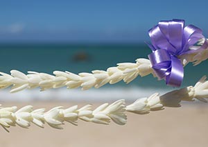 turberose-lei turberose-lei300x200.jpg